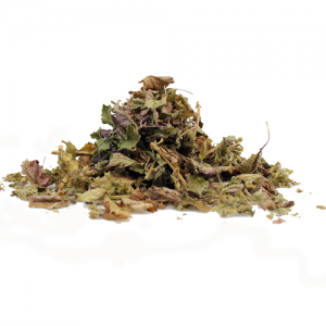 Μελισσόχορτο