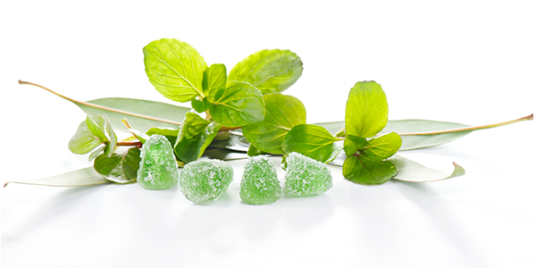 Αρωματικές Παστίλιες( Γόμα Μεγάλη) Αχαϊκή-Μανούσου Μέντα